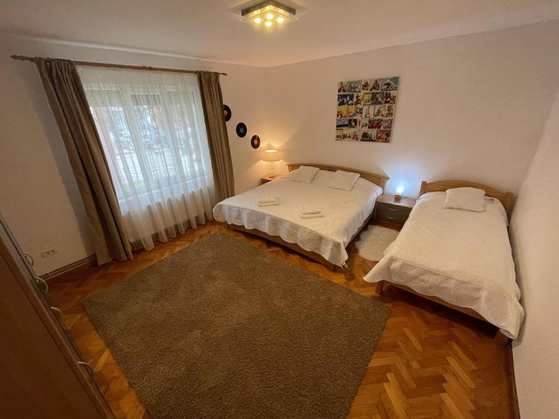 Crisan 40 Casa Muntean 100Mp 3Camere 3Paturi 1 Canapea 2 Dormitoare Parcare Temeşvar Dış mekan fotoğraf