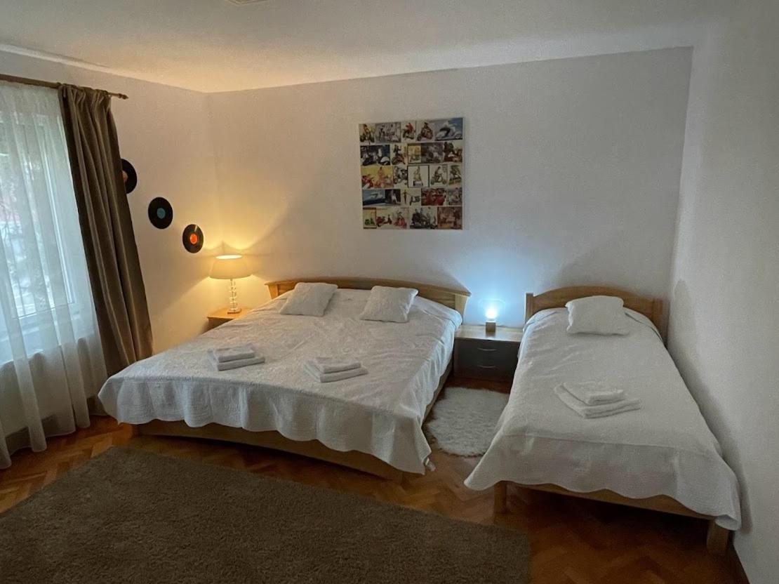 Crisan 40 Casa Muntean 100Mp 3Camere 3Paturi 1 Canapea 2 Dormitoare Parcare Temeşvar Dış mekan fotoğraf