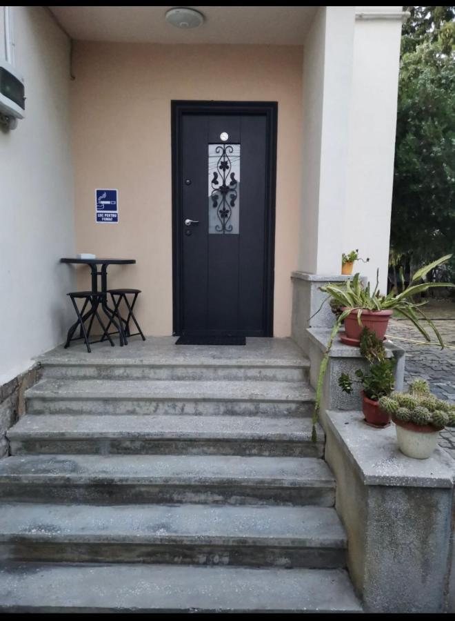Crisan 40 Casa Muntean 100Mp 3Camere 3Paturi 1 Canapea 2 Dormitoare Parcare Temeşvar Dış mekan fotoğraf