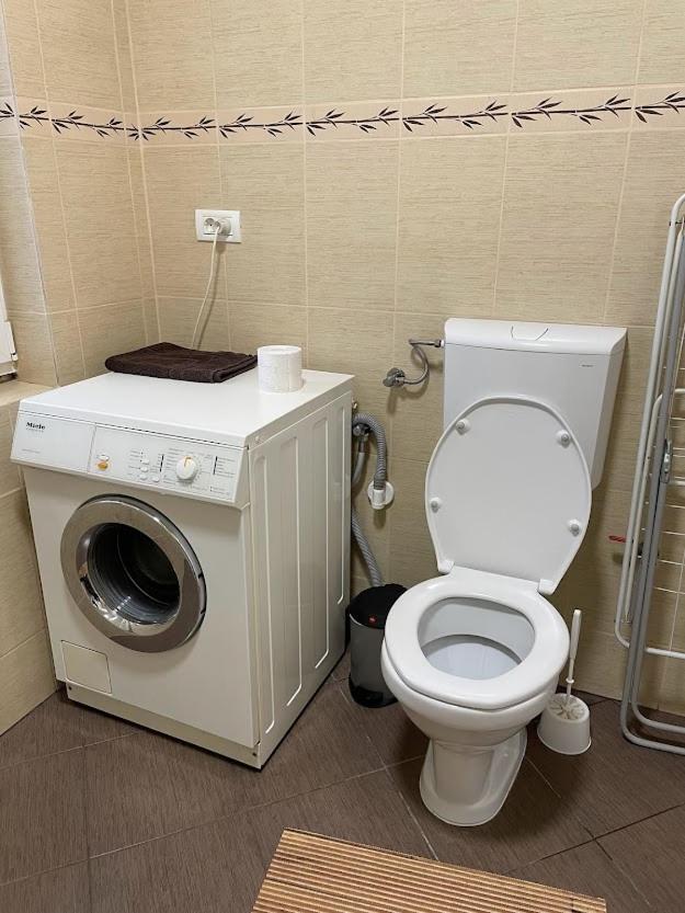 Crisan 40 Casa Muntean 100Mp 3Camere 3Paturi 1 Canapea 2 Dormitoare Parcare Temeşvar Dış mekan fotoğraf